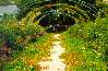 Pathway in Giverney, garden of Claude Monet
