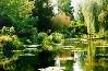 Water garden at Giverney, garden of Claude Monet