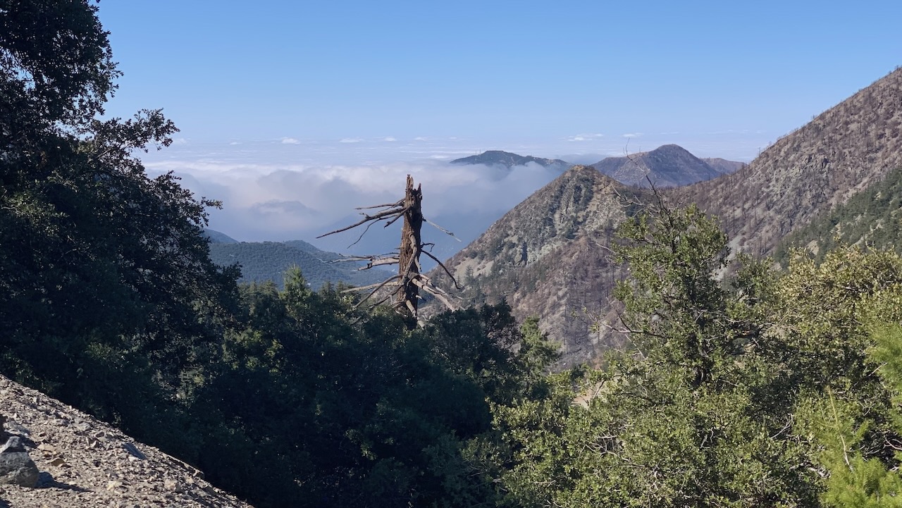 Melissa Hiking in 2025