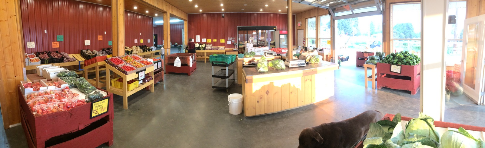 Panorama of Wloka Farms fruit stand.
