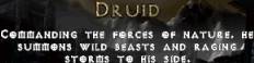 Druid