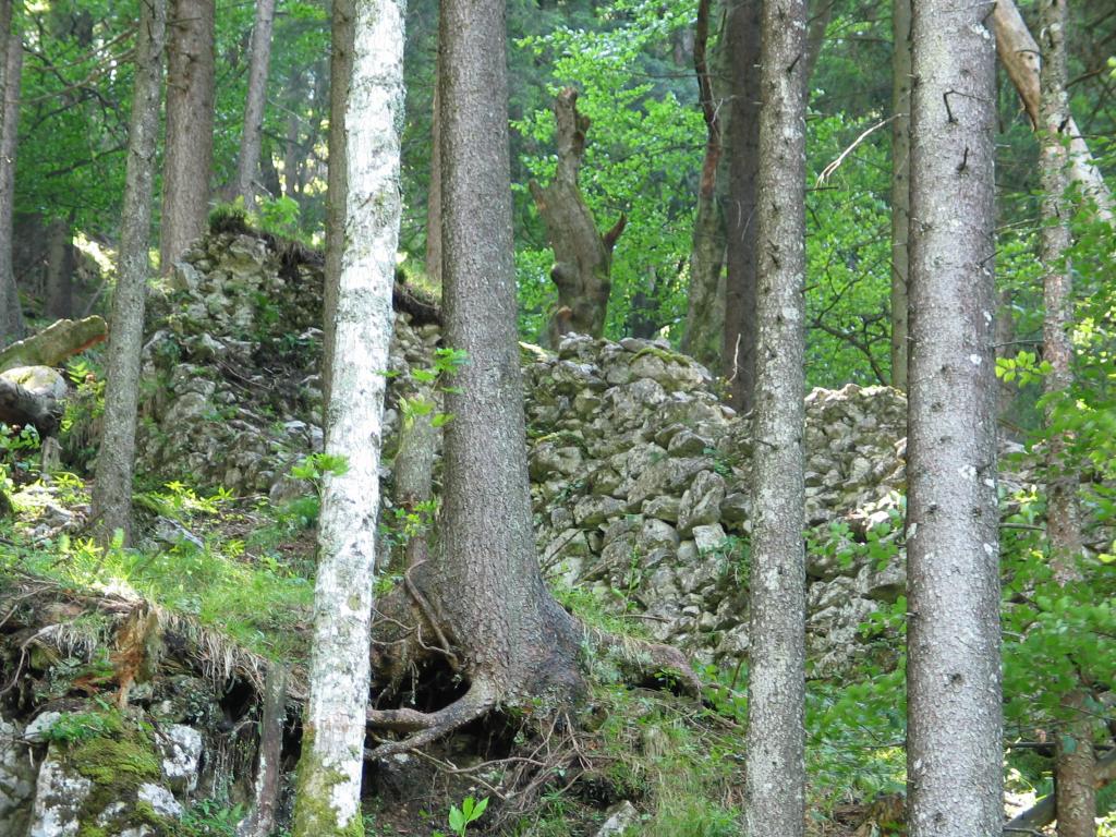 One of the outer walls surrounding the Schlokopf ruins.  This
photograph gives a hint of what the entire ruin once was: overgrown,
long-abandoned masonry in the middle of a forest.