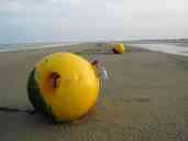 Buoys stranded by the outgoing tide on a British beach.  I have no
idea what the buoys mark, or whether they are intended as moorings.  A
T-shirt and sandal are affixed to the "handle" of the closer buoy.
Despite the apparent isolation of the photograph, the beach was
actually populated with quite a few people.