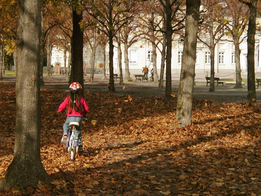 Xandie riding through the leaves in the Schlopark.