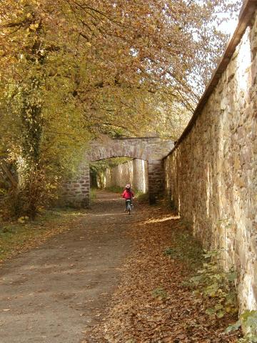 Xandie riding next to the wall that surrounds the Schlopark.