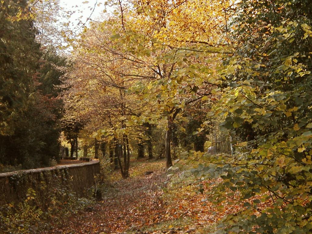 A pastoral scene near the edge of the Schlopark.