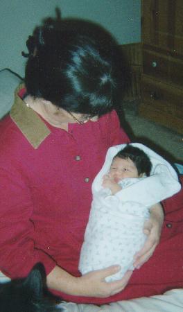 Bella the big cat watches the new mother