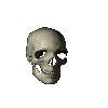 [Skull]