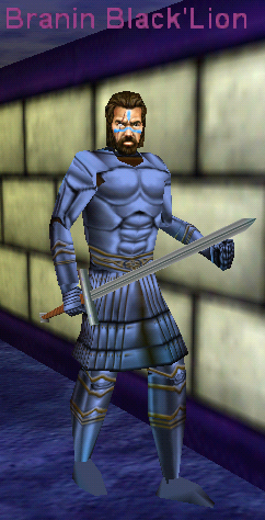 Branin in full Crafted platemail and
wielding his Mithril two-handed sword.
