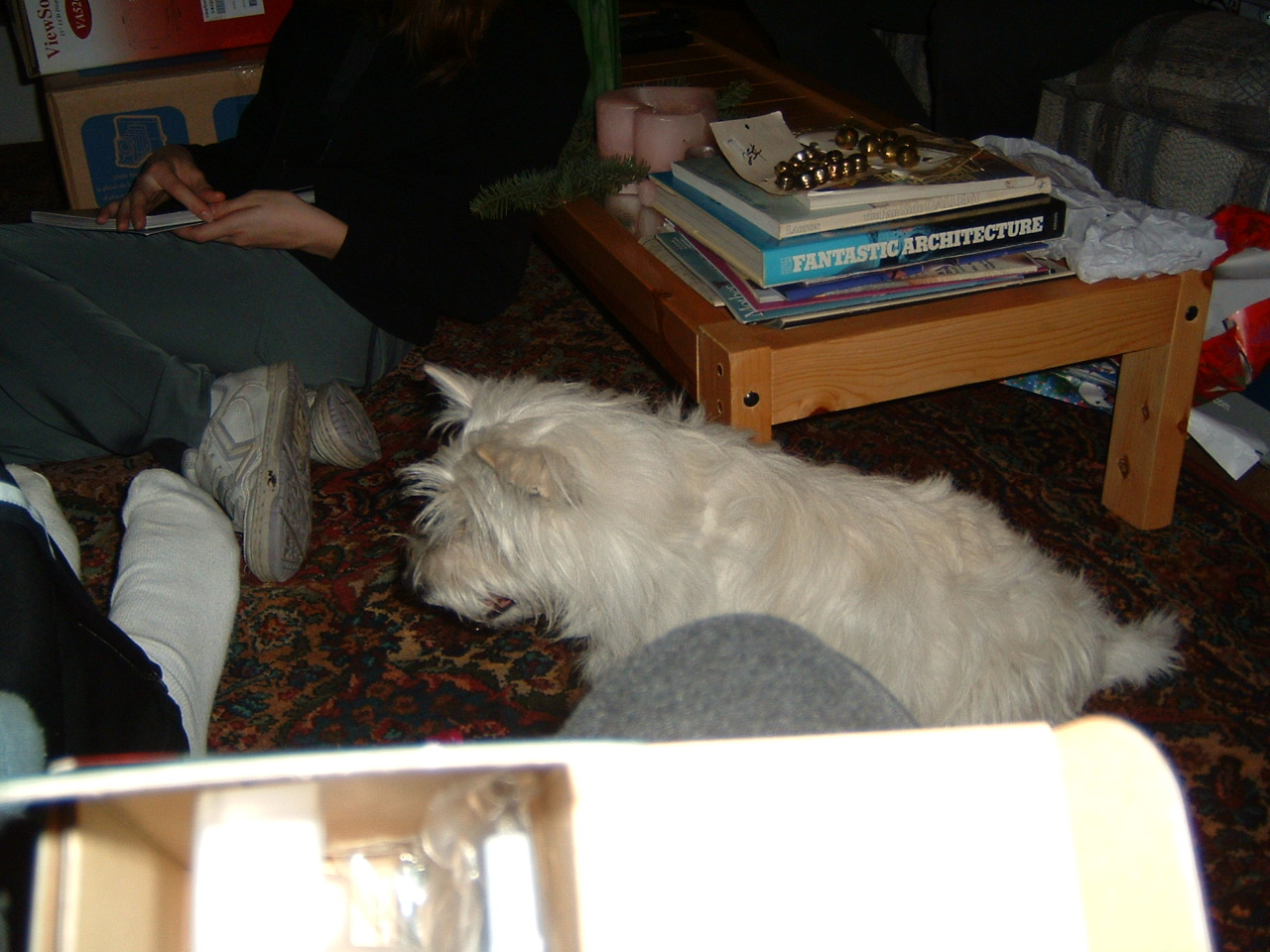 Sally (12/02)