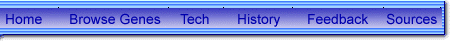 Main Navigation Menu