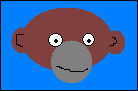 monkey