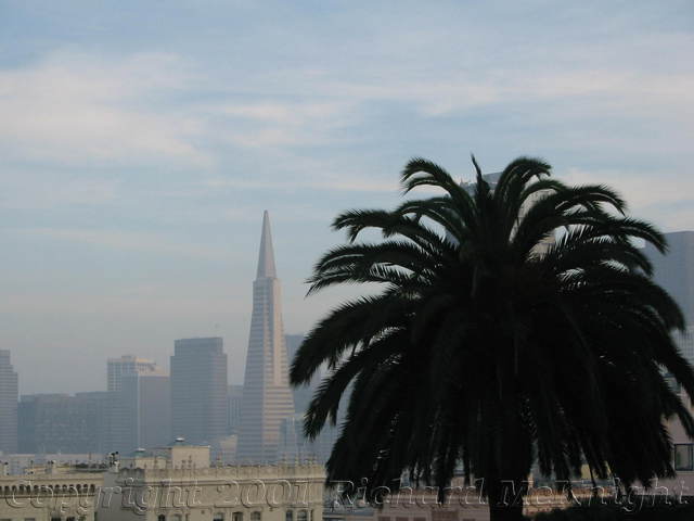 img_0941.jpg